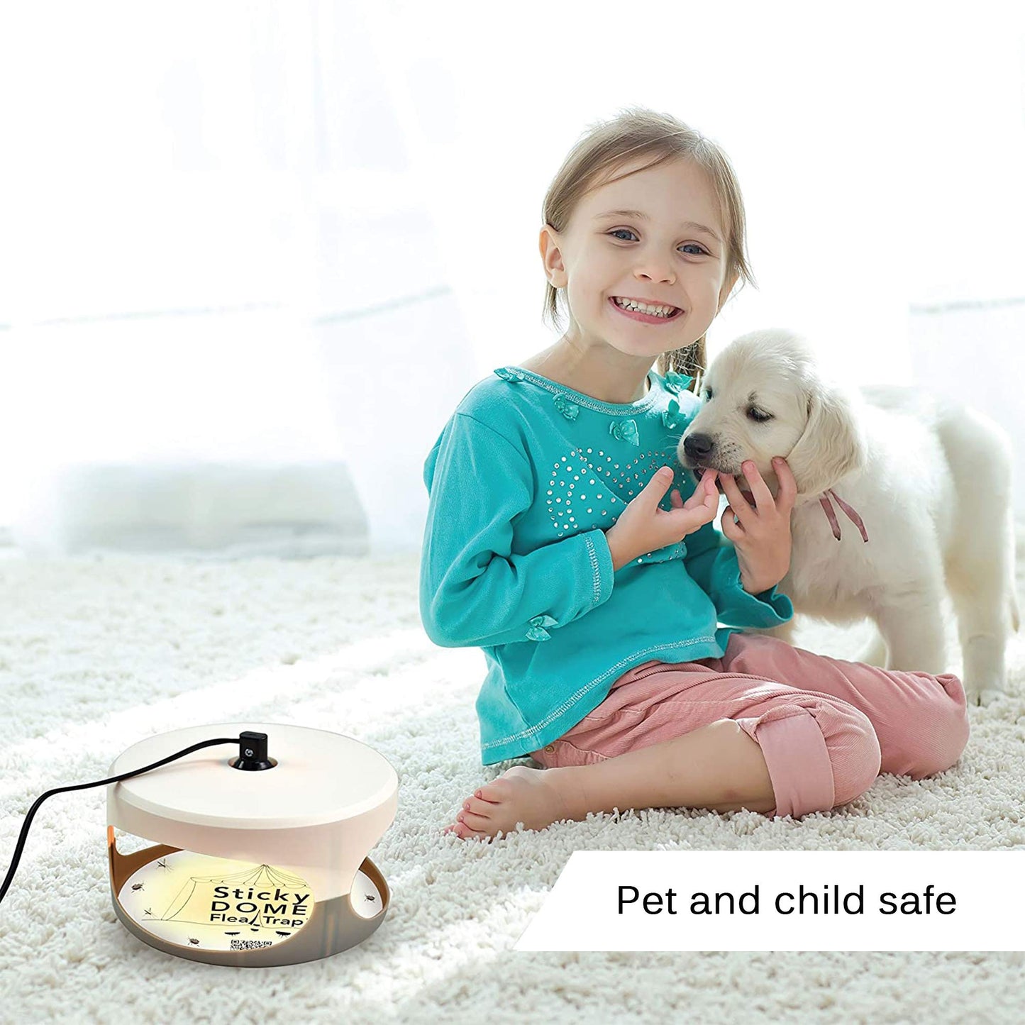 ASPECTEK Sticky Dome Flea Trap, Odorless Glue Trap with 2 Sticky Discs, Effective Bed Bug Killer and Flea and Tick Treatment, Indoor Insect Trap for Bugs, 2 Packs in White and Light Gray