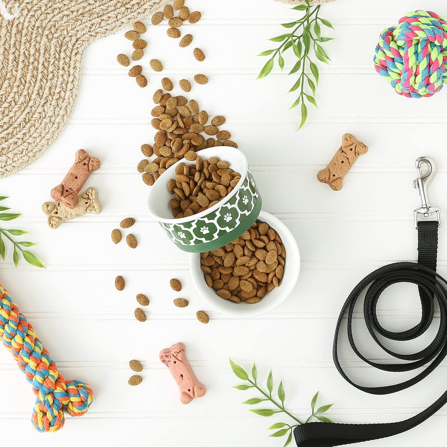 Bone Dry Lattice Collection Pet Bowl & Canister, Small Set, 4.25x2 inches, Hunter Green, 2 Piece