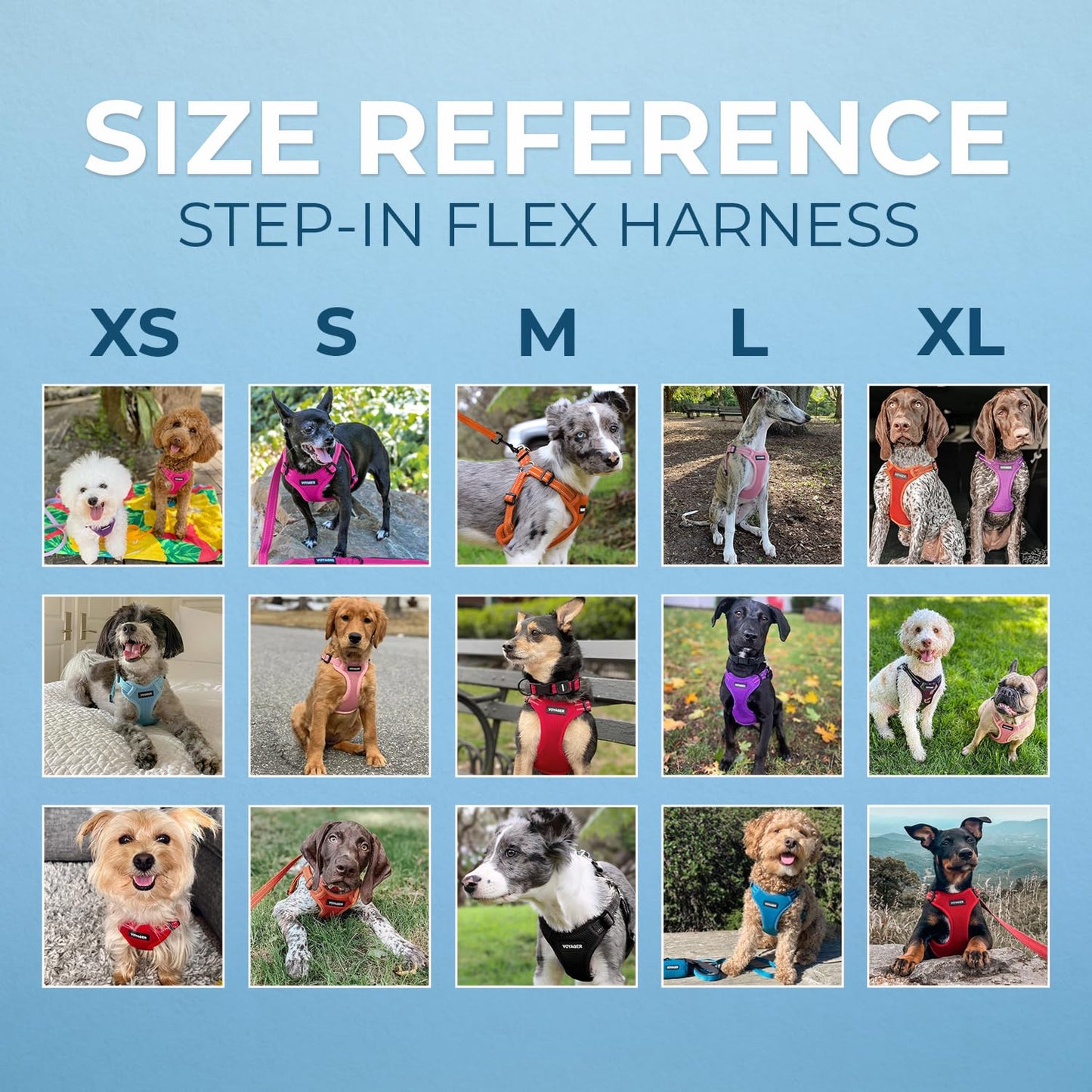 Best Pet Supplies Voyager Adjustable Dog Harness Leash Set with Reflective Stripes for Walking Heavy-Duty Full Body No Pull Vest with Leash D-Ring, Breathable All-Weather - Baby Blue, XS