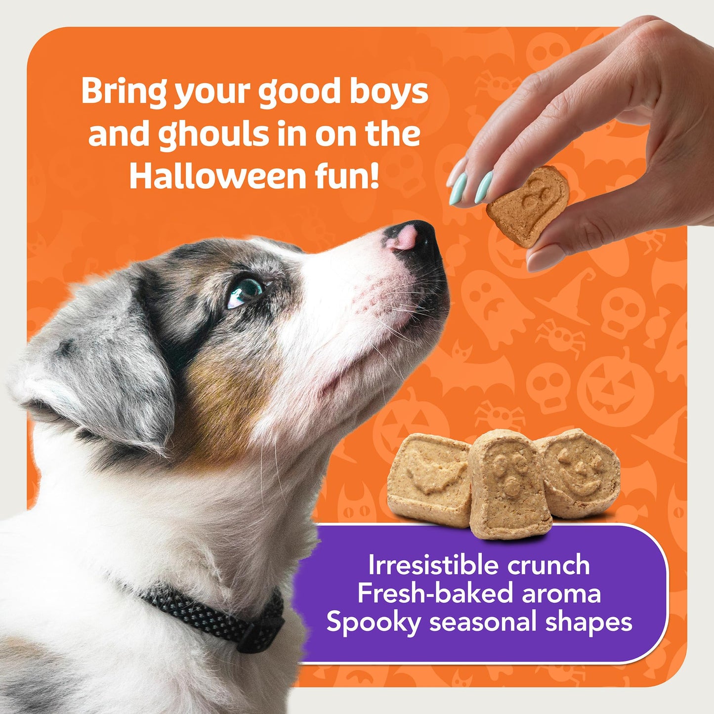 Blue Buffalo Boo Bars Crunchy Dog Biscuits, Natural Halloween-Shaped Treats, Pumpkin & Cinnamon Recipe, 11-oz Bag