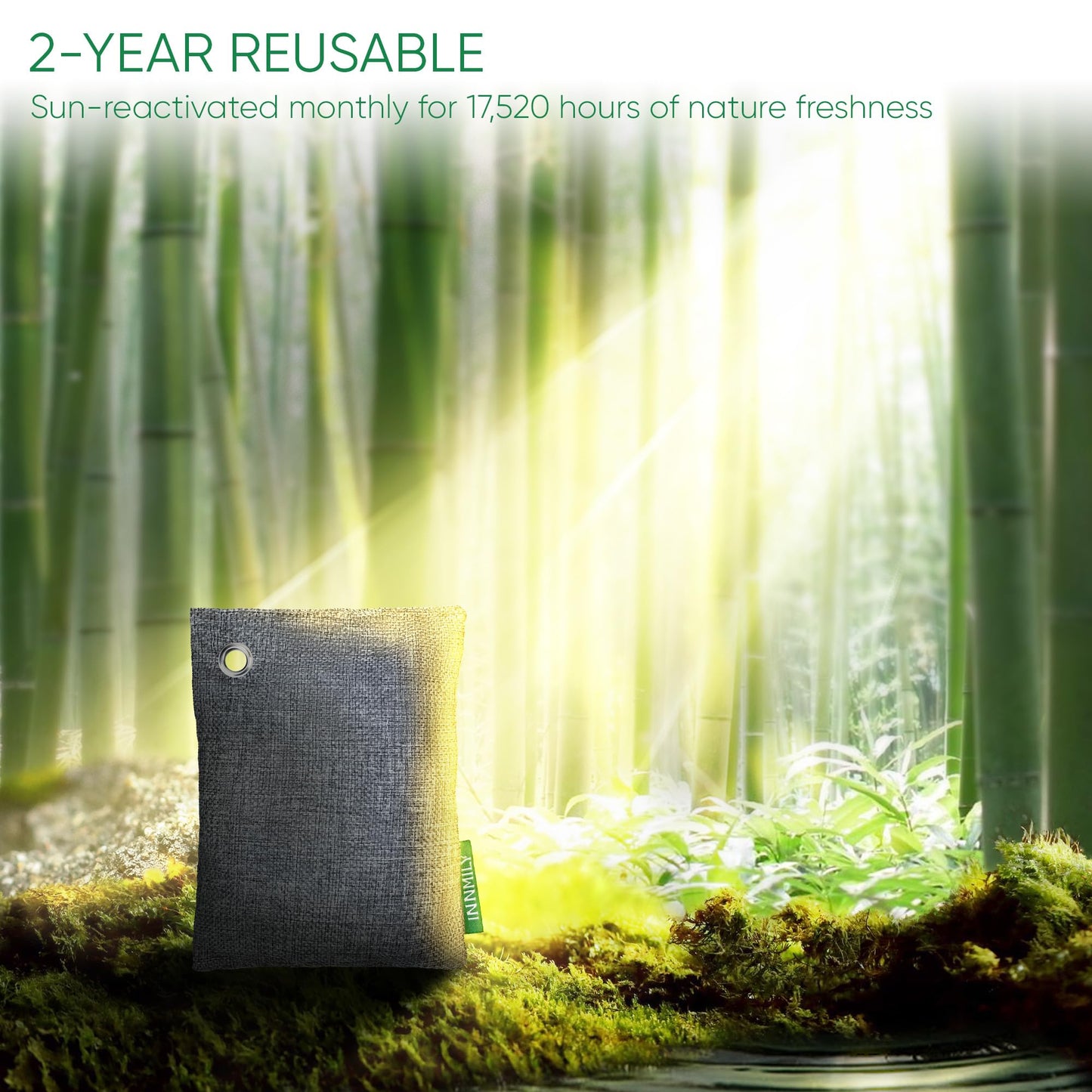 Activated Charcoal Odor Absorber, Odor Eliminator for Strong Odor,Bamboo Charcoal Air Purifying Bags for Home Car Closet Pet, Smoke Room Deodorizer (12 Packs, Unscented)