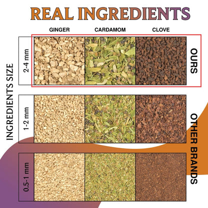 BREWIX, Pumpkin Spice Black Tea Bags (25 Pyramid Bags) | Cozy Fall Blend with Cinnamon, Ginger, Nutmeg & Clove | Caffeinated, Warm & Aromatic | Perfect for Autumn & Halloween