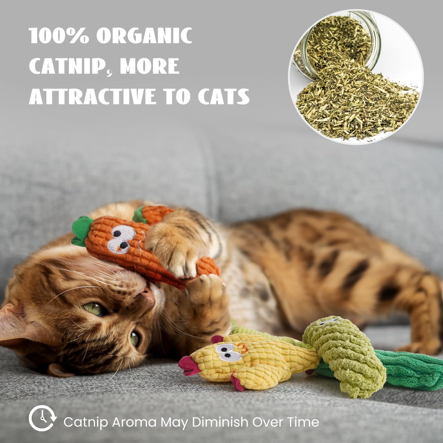5 Pack Cactus Catnip Toys, 100% Pure Organic Catnip Filled Toys for Indoor Cats, Interactive Plush Chew Fun Without Cotton, Teething Soft Pet Toys for Kittens Kitty