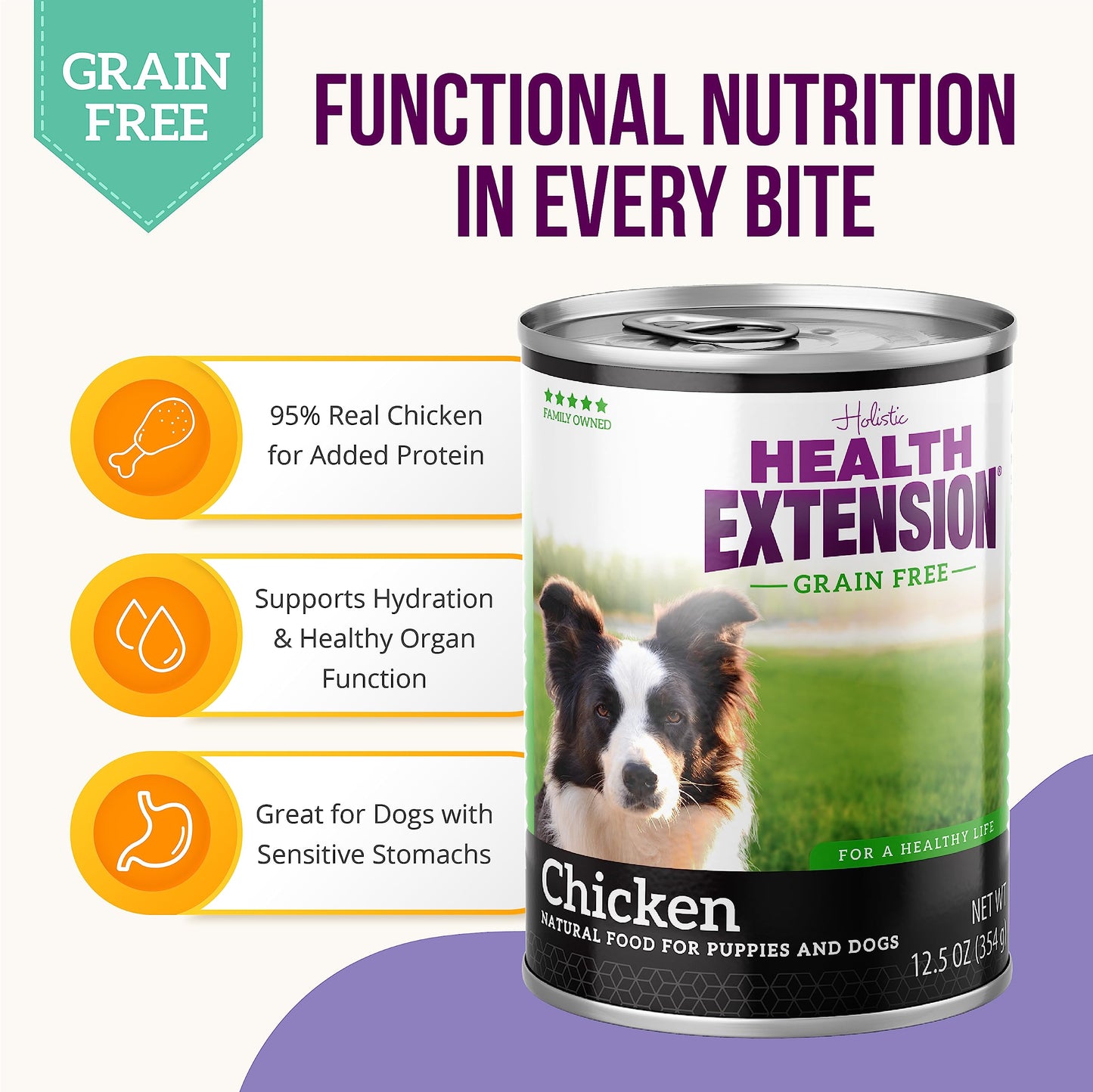 Health Extension 95% Chicken Entrée Wet Dog Food Grain-Free – 5.5 oz – Protein-Rich Formula, Hydration Support, Ideal for Sensitive Stomachs (Case of 24 Cans)
