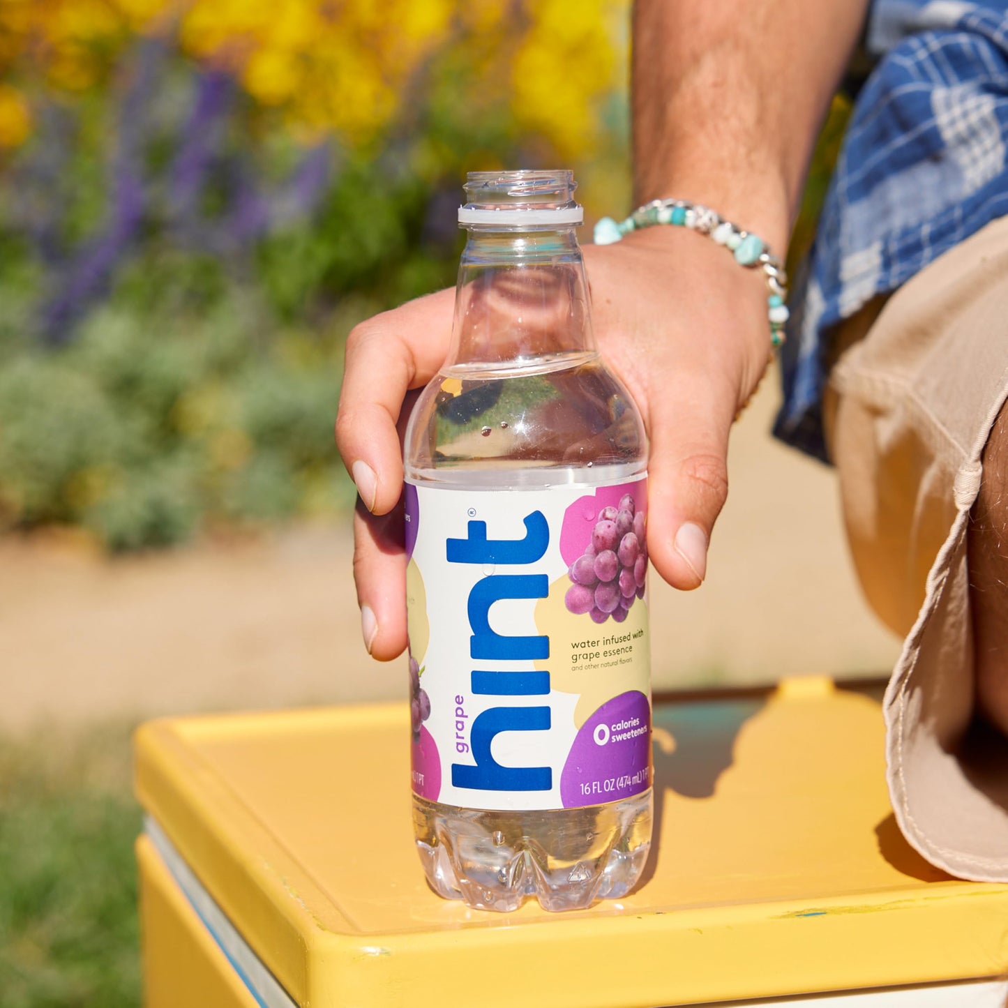 Hint Fruit-Infused Bottled Water, Grape - Sugar Free Flavored Water with Zero Calories, Naturally Flavored, and No Artificial Sweeteners - 16 Fl Oz (Pack of 12)