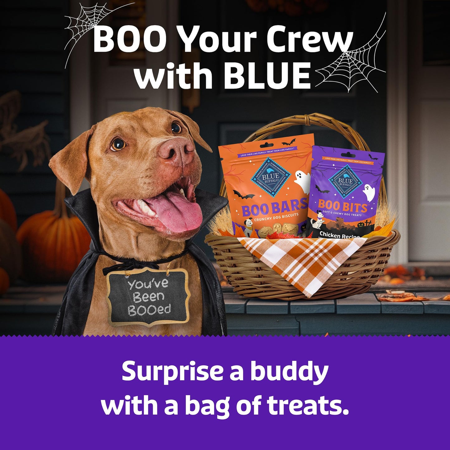 Blue Buffalo Boo Bars Crunchy Dog Biscuits, Natural Halloween-Shaped Treats, Pumpkin & Cinnamon Recipe, 11-oz Bag