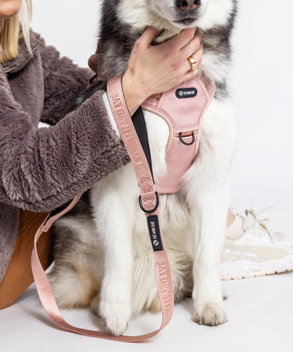 2025 New Edition, Fei & Eve MagEase Dog Harness - Patented Magnetic Buckles | 3-Point No-Pull Control | Heavy-Duty 900D Nylon | Dual Safety Handles | Breathable Mesh | Adjustable Fit | Medium, Pink