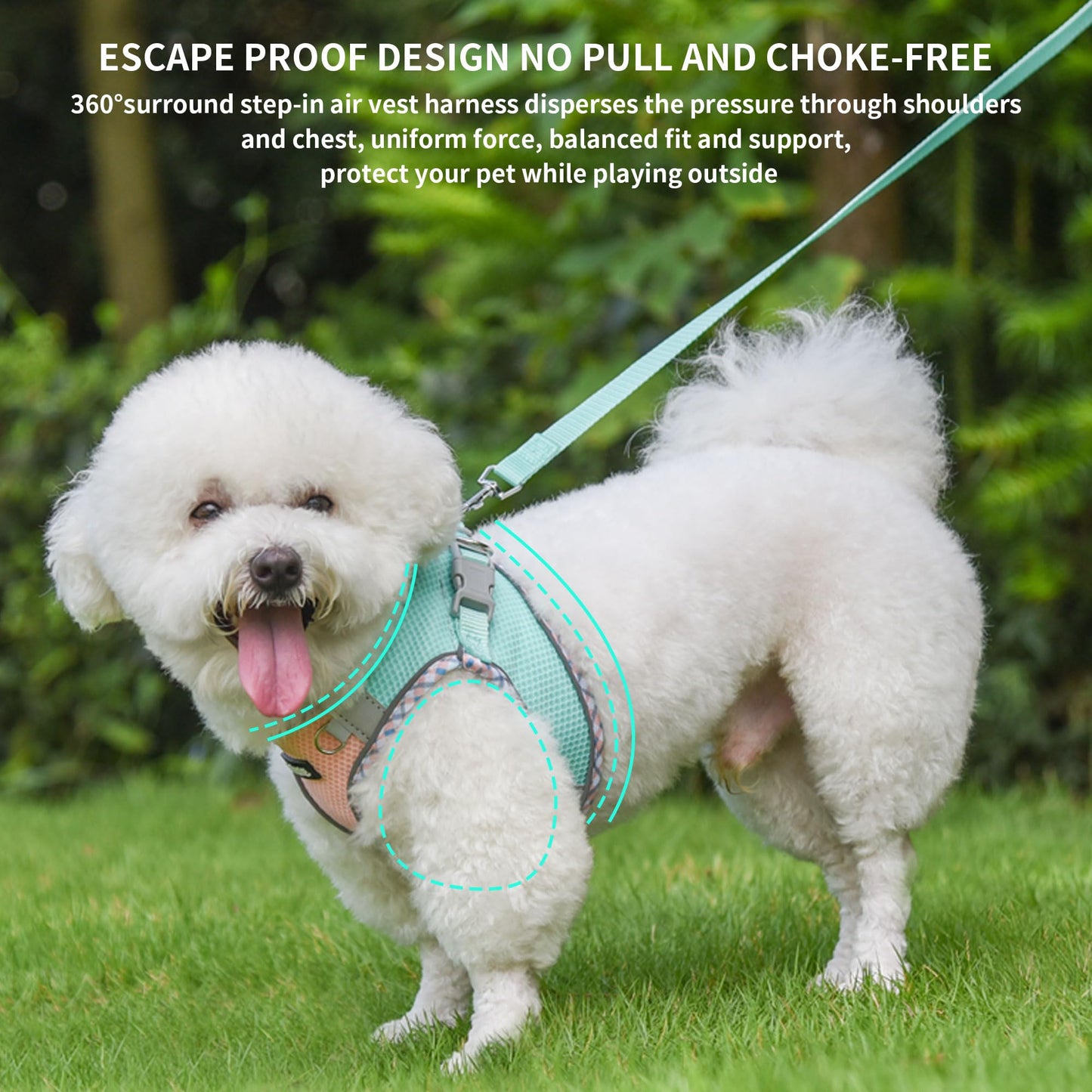 AIITLE Tiny Dog Harness - Lightweight Mesh Step-in Vest for Puppy, Reflective & Escape-Proof Design with High-Stick Velcro - Indoor/Outdoor Use for Chihuahua, Maltese, Shih Tzu(Turquoise-Pink, XXXS)