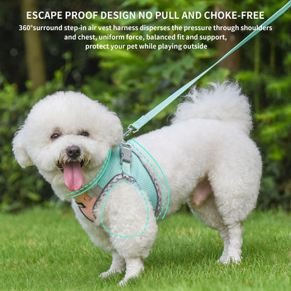 AIITLE Tiny Dog Harness - Lightweight Mesh Step-in Vest for Puppy, Reflective & Escape-Proof Design with High-Stick Velcro - Indoor/Outdoor Use for Chihuahua, Maltese, Shih Tzu(Turquoise-Pink, XXXS)