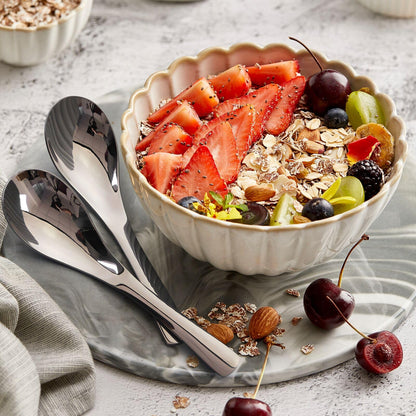 AOOSY 6-Piece Heavy Weight Soup Spoons,Stainless Steel Asian Soup Spoon with Ergonomic Short Handle for Ramen, Curry, Cereals