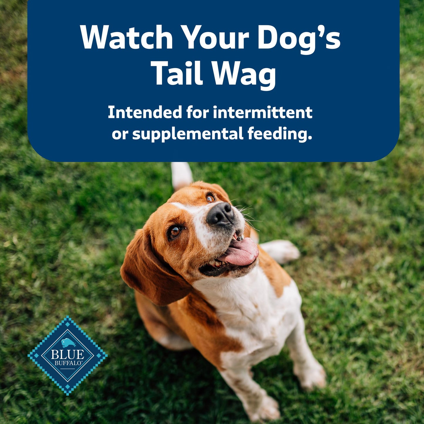 Blue Buffalo Health Bars Crunchy Dog Biscuits, Variety Pack, Bacon, Egg & Cheese, Apple & Yogurt, Pumpkin & Cinnamon, 16-oz Bags