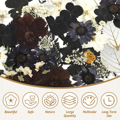 Augshy Black Dried Pressed Flowers, 120 Pcs Halloween Dried Flowers for Resin Molds Real Pressed Flowers for Crafts DIY Jewelry Molds, Scrapbooking, Candle, Soap Making