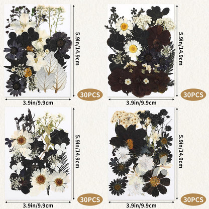 Augshy Black Dried Pressed Flowers, 120 Pcs Halloween Dried Flowers for Resin Molds Real Pressed Flowers for Crafts DIY Jewelry Molds, Scrapbooking, Candle, Soap Making