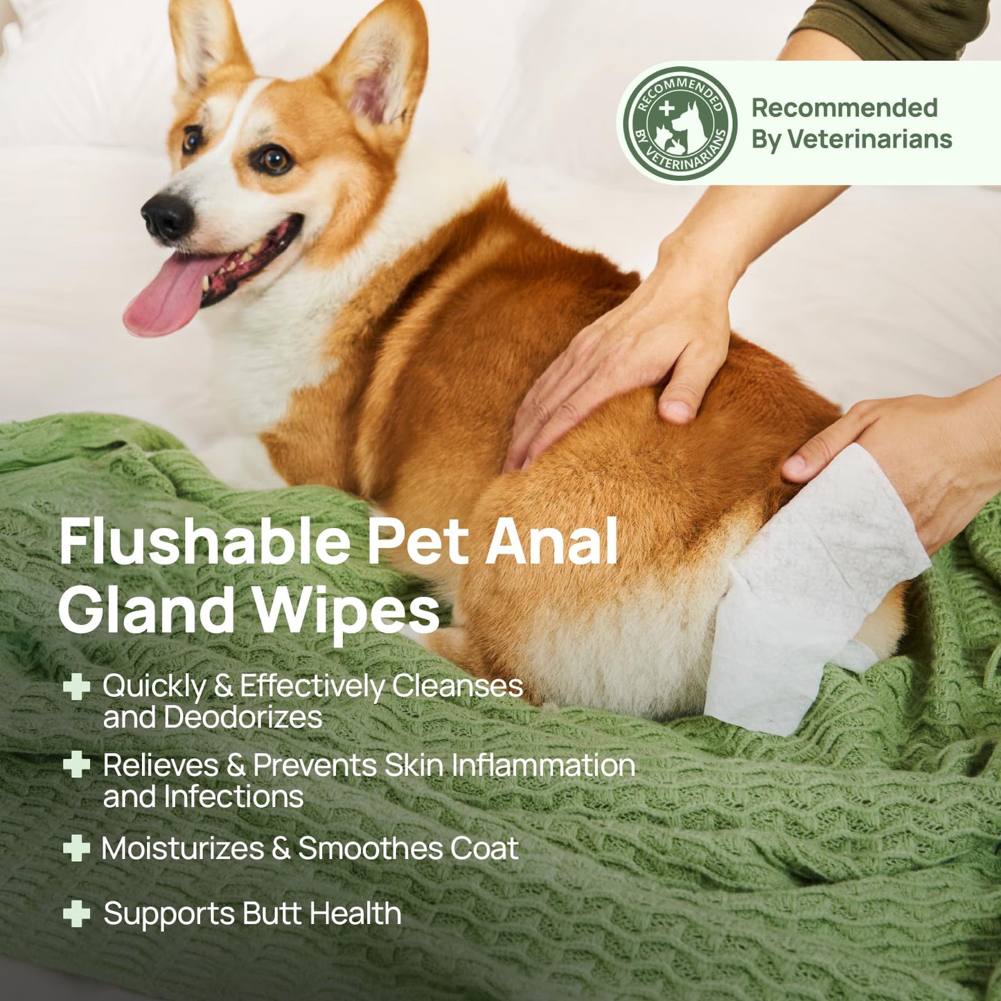 HICC PET Wipes for Dogs & Cats, Vet Recommended Cleansing Deodorizing & Soothing Allergy Infections Anal Gland Wipes with Coconut Oil, Dog Wipes for Cleaning Butt Paw, Remove Small Animal Coat Stain