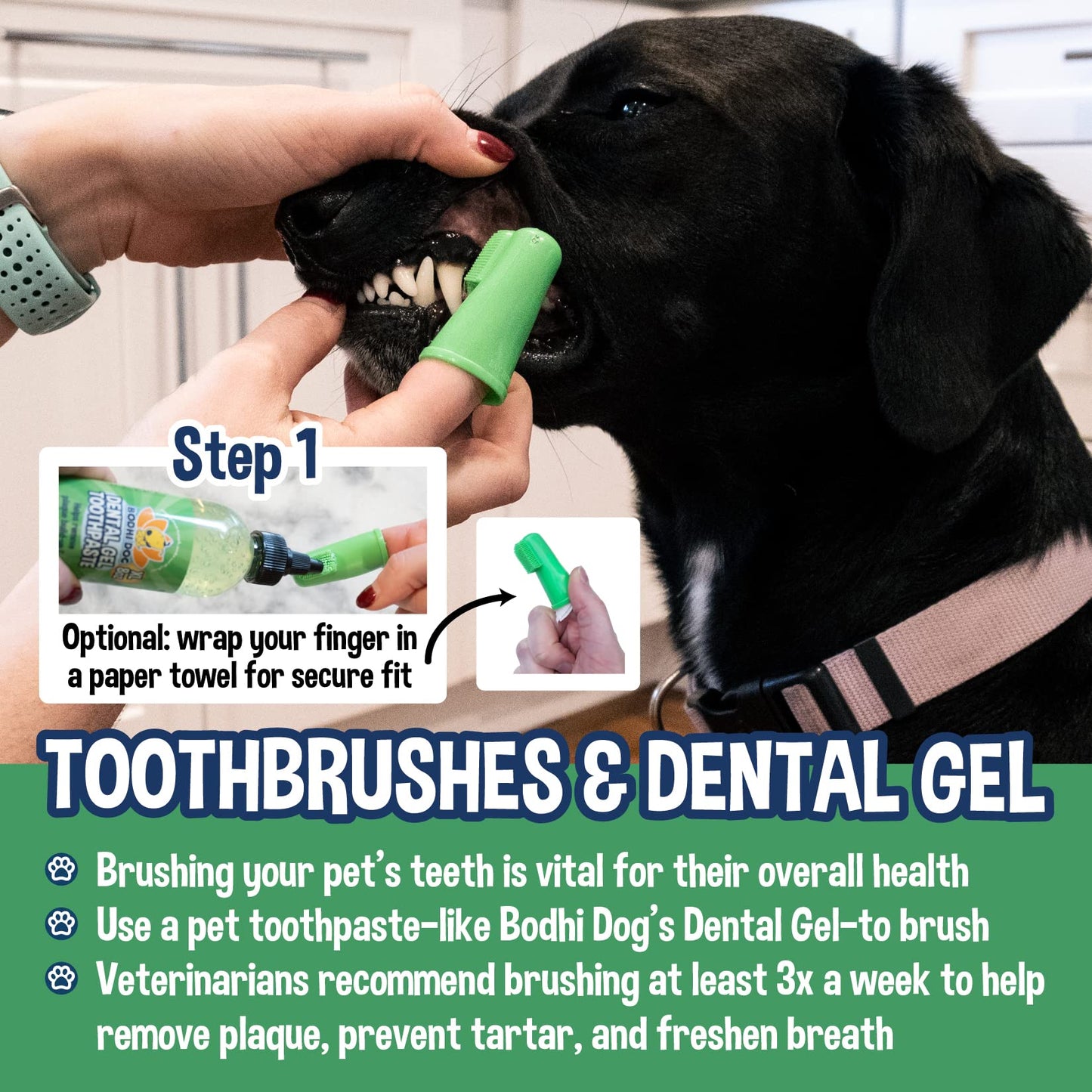 Bodhi Dog Finger Toothbrush for Dogs & Cats - Puppy Toothbrush with Soft Flexible Silicone Bristles, Gentle for Sensitive Gums, Promotes Healthy Teeth & Gums, Easy Teeth Cleaning Tool (100 Count)