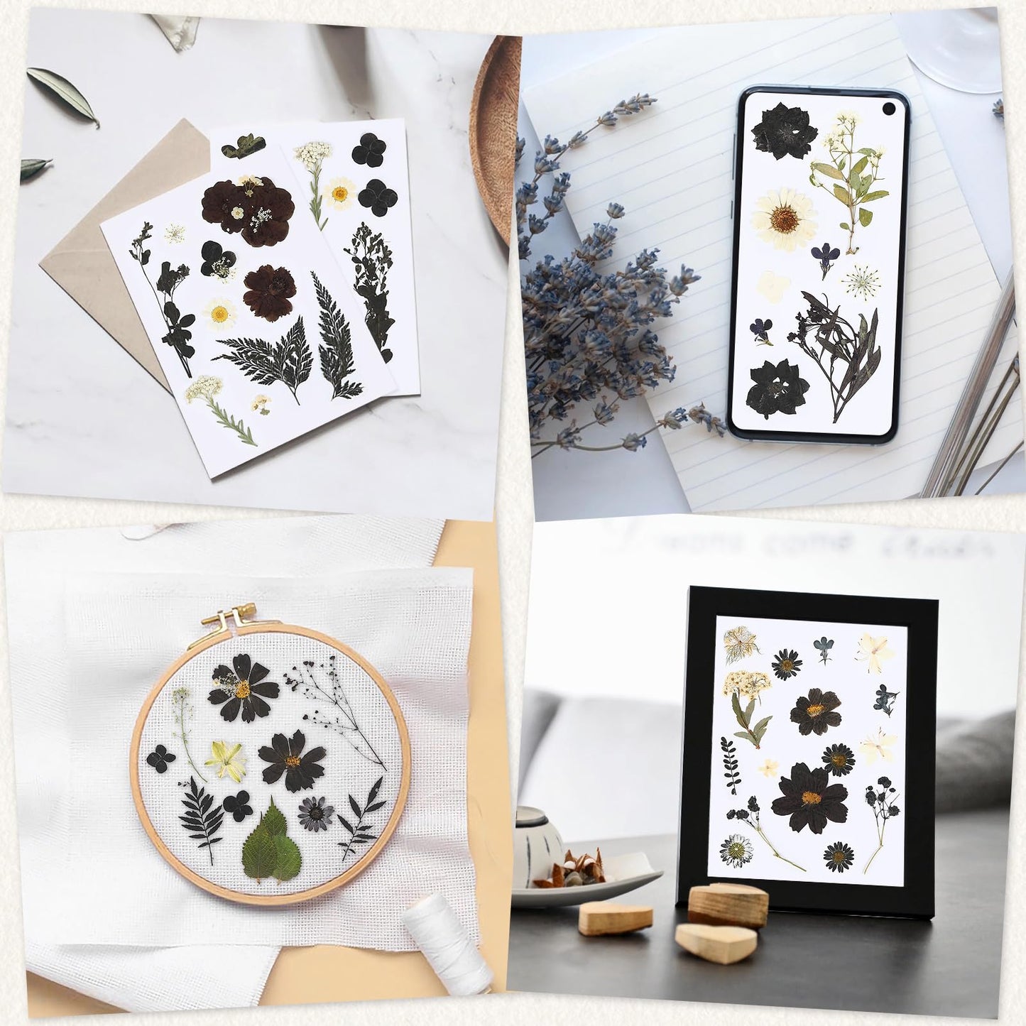 Augshy Black Dried Pressed Flowers, 120 Pcs Halloween Dried Flowers for Resin Molds Real Pressed Flowers for Crafts DIY Jewelry Molds, Scrapbooking, Candle, Soap Making