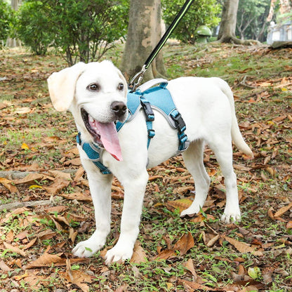 BELPRO Multi-Use Support Dog Harness, Escape Proof No Pull Reflective Adjustable Vest with Durable Handle, Dog Walking Harness for Big/Active Dogs (Blue, L)