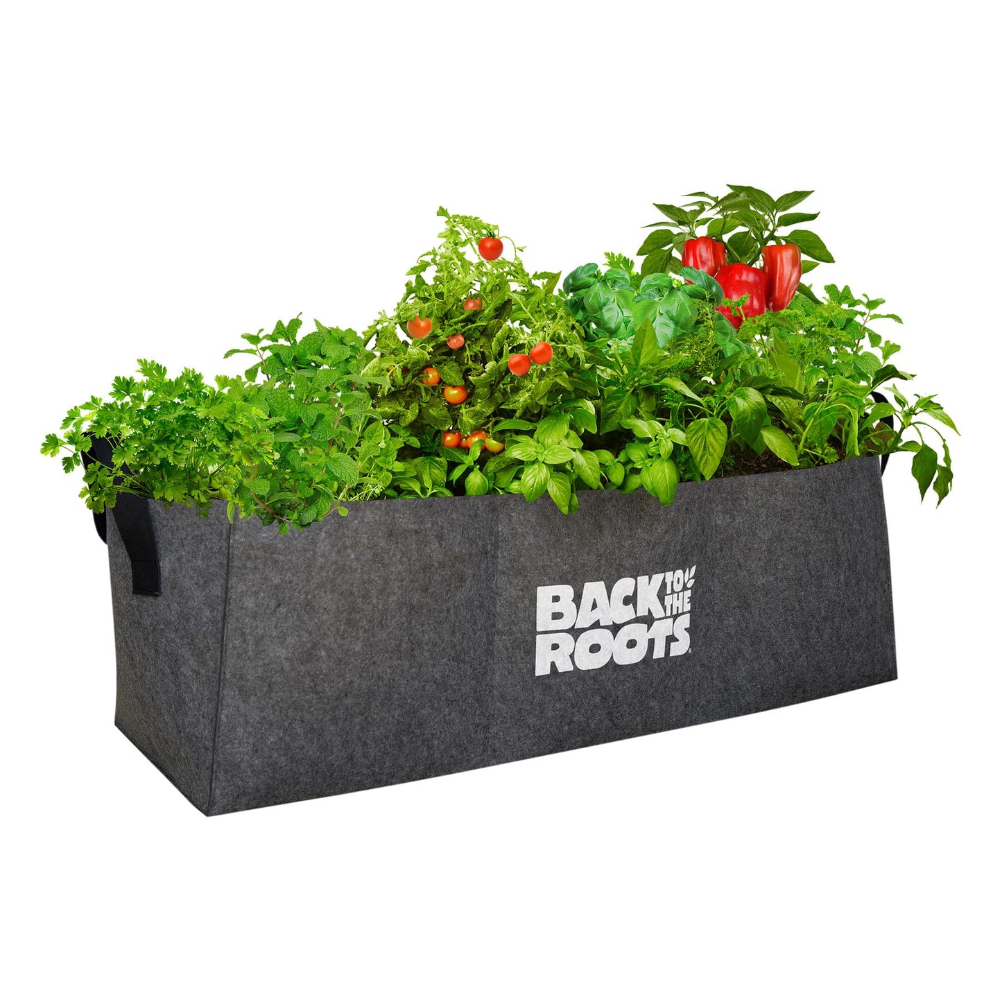 Back to the Roots Breathable Grow Bed, Provides More Oxygen to Roots, Assembles in Seconds 3 cu. ft