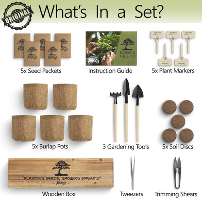 AVERGO Bonsai Tree Kit for Beginners – 5X Unique Japanese Bonzai Trees | Complete Indoor Starter Kit for Growing Bonsai Plants with Tools & Planters – Gardening Gifts for Women & Men