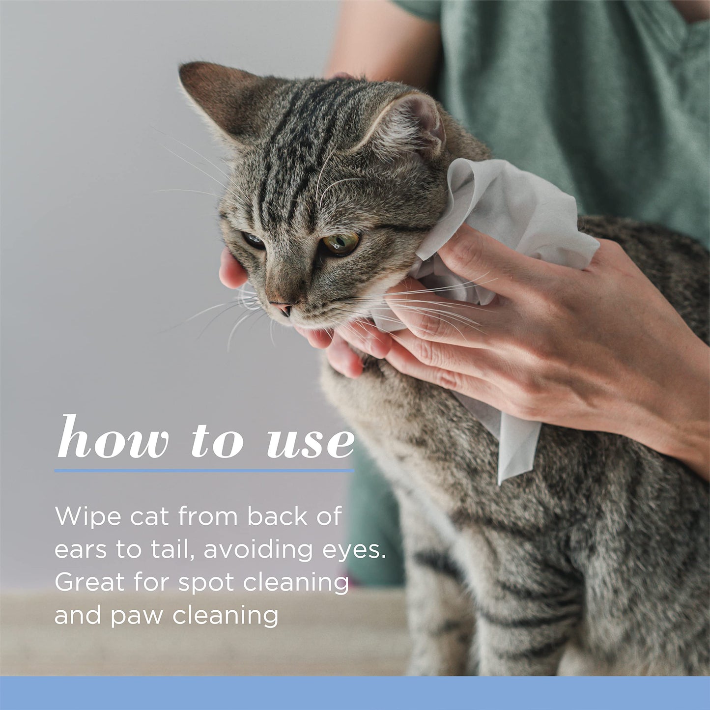 Burt's Bees for Pets Kitten Wipes with Buttermilk - Pet Wipes for Cats Waterless Bathing & Cleaning, Kitten Essentials for Indoor Kittens, Gentle Cat Grooming Wipe for Face, Paws & Butt, 50 Count