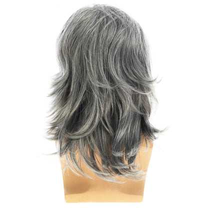 Baruisi Mens Wig Grey Long Straight Synthetic Heat Resistant Costume Cosplay Hair Wig