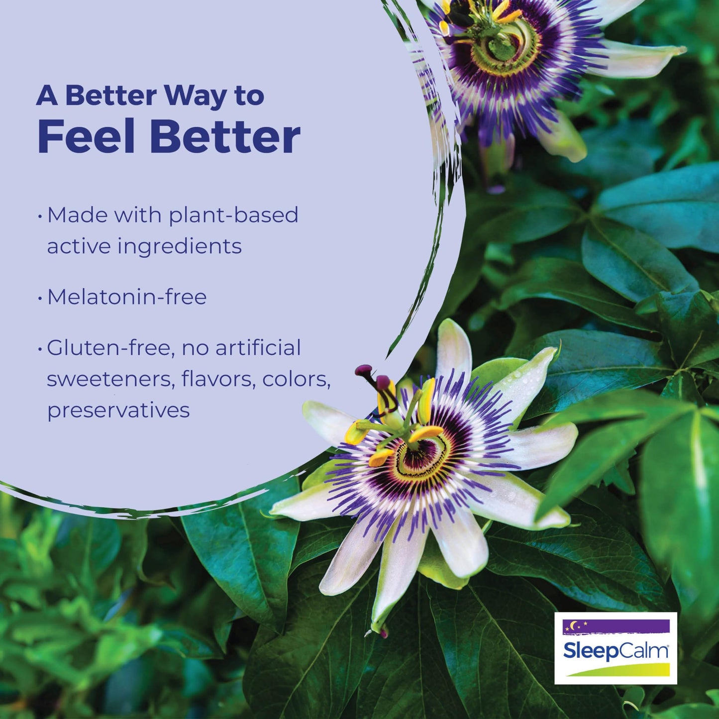 Boiron SleepCalm Tablets Sleep Aid for Deep, Relaxing, Restful Nighttime Sleep - Melatonin-Free and Non Habit-Forming - 60 Count