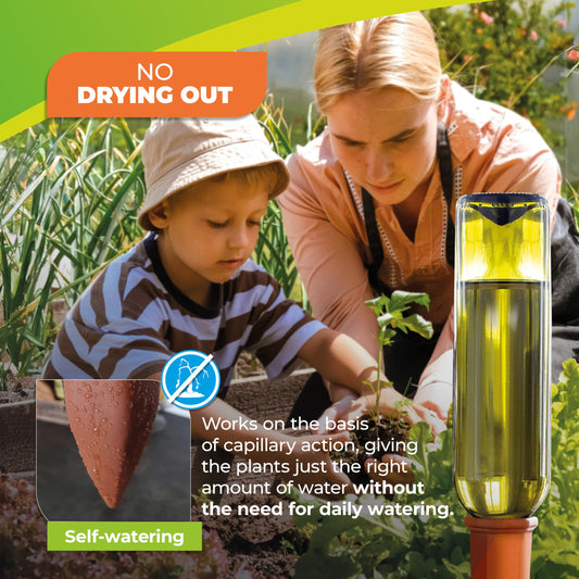 BioGreen Set of 4 Hydro Wine Watering System for Balcony and Pot Plants | Clay Watering Cones Suitable for Wine Bottles I Water Dispenser for Potted Plants | No Overwatering and Drying Out