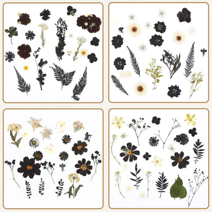 Augshy Black Dried Pressed Flowers, 120 Pcs Halloween Dried Flowers for Resin Molds Real Pressed Flowers for Crafts DIY Jewelry Molds, Scrapbooking, Candle, Soap Making