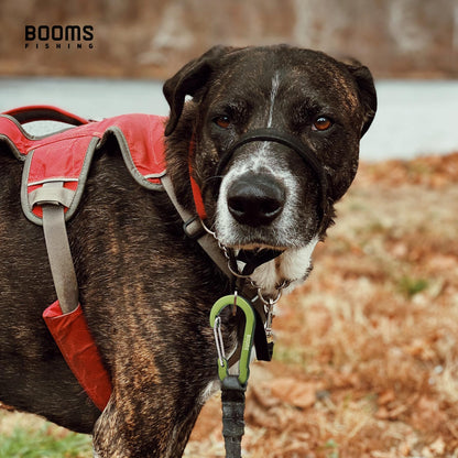 Booms Fishing CC5 Multi-Use Carabiner Clips, 10 Pack 2.7" Small Caribeener Clips, Mini Keychain Caribeaner Clip, Aluminum D Ring Carabiners, Green