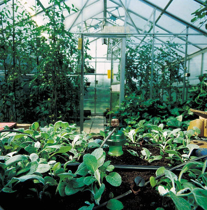 Blumat Drip Irrigation System - Tropf Medium Box Automatic Plant Watering Devices for Garden, Patio and Hanging Baskets - Garden Watering System Up to 12 Plants - Effortless Hydration - 12 Pack