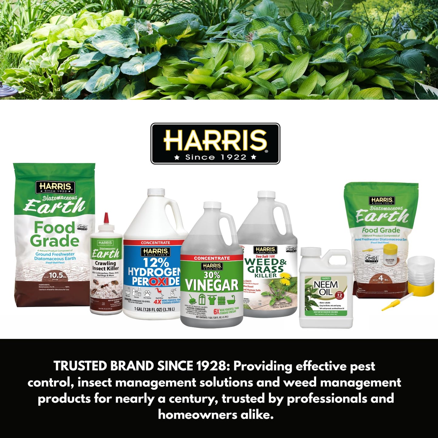 HARRIS Diatomaceous Earth Food Grade, 4lb with Powder Duster Included in The Bag