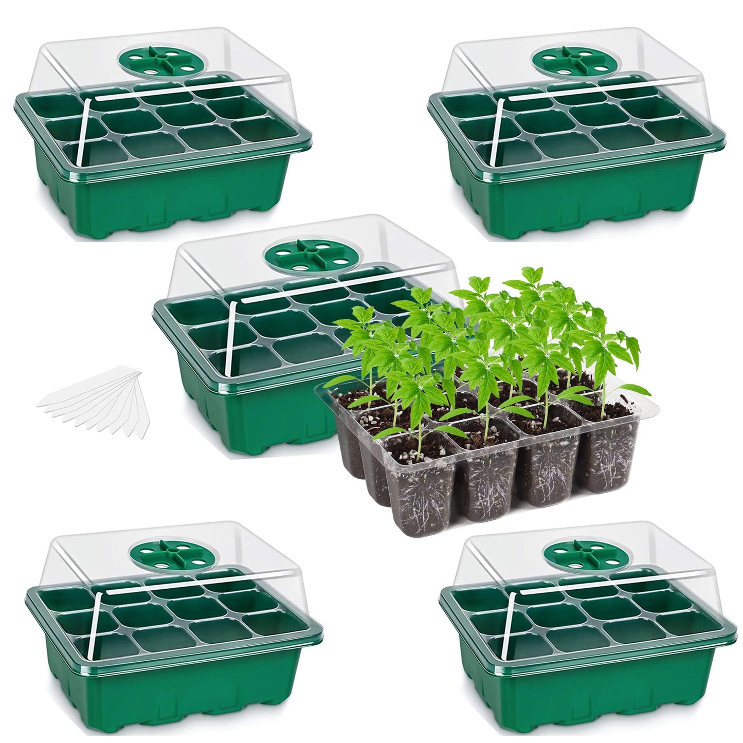 Bonviee 5-Pack Seed Starter Trays, Seed Starter Kit with Adjustable Humidity Dome and Base Indoor Greenhouse Mini Propagator for Seeds Growing Starting (12 Cells Per Tray, Green)