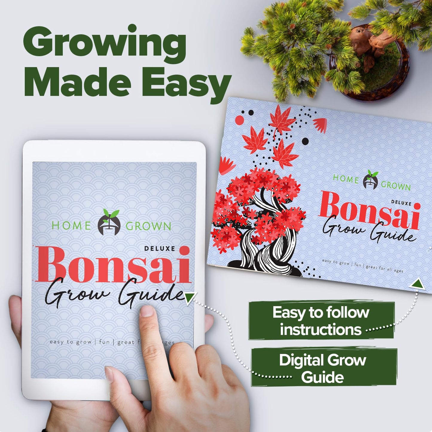 Home Grown Bonsai Tree Kit – Premium Ceramic Starter Set with 4 Bonsai Varieties – Easy Indoor Gardening Gift for Men & Women – Unique Plant Kit for Beginners & Nature Lovers
