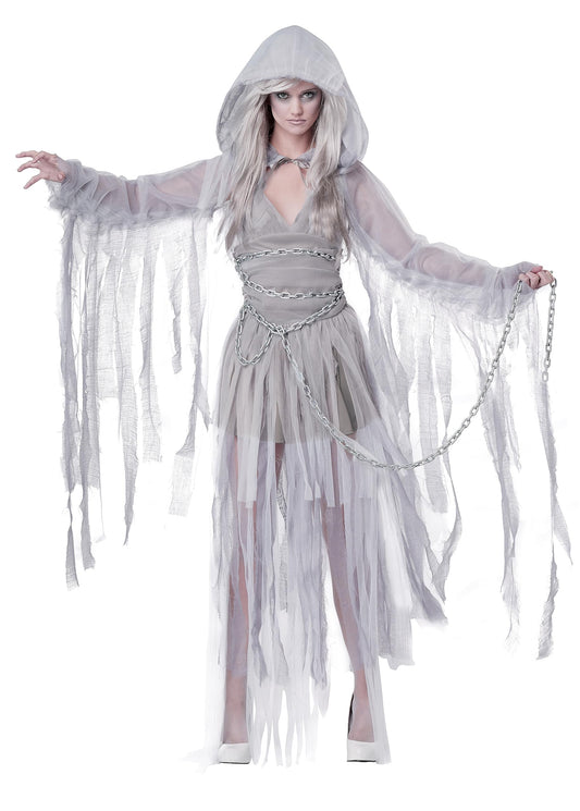 California Costumes Women's Haunting Beauty Costume X-Small Silver