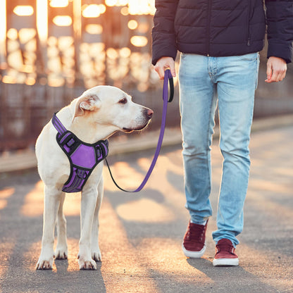 BUMBIN Dog Harness for Large Dogs, No Pull Adjustable No Choke Pet Vest with Dog Leash Fit Smart Reflective Pet Walking Harness for Training Easy Control Soft Handle Purple M