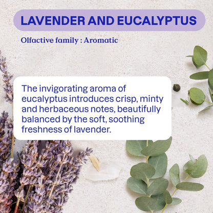 ATTITUDE Odor Eliminator with Activated Carbon, Plant-Based Air Purifier, Vegan, Lavender & Eucalyptus Scent, 8 Ounces