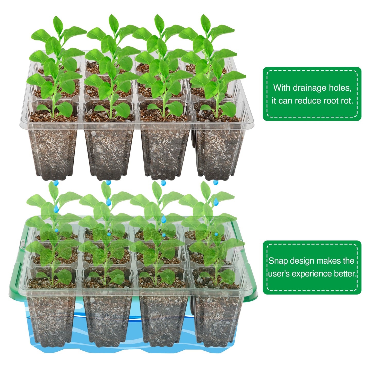 Bonviee 5 Packs Seed Starter Tray with Plant Light, Elevated Seedling Starter Trays Kits with Adjustable Humidity Domes and Clear Cell Tray, 12 Full Spectrum led lamp Beads for Plants Indoor-Green