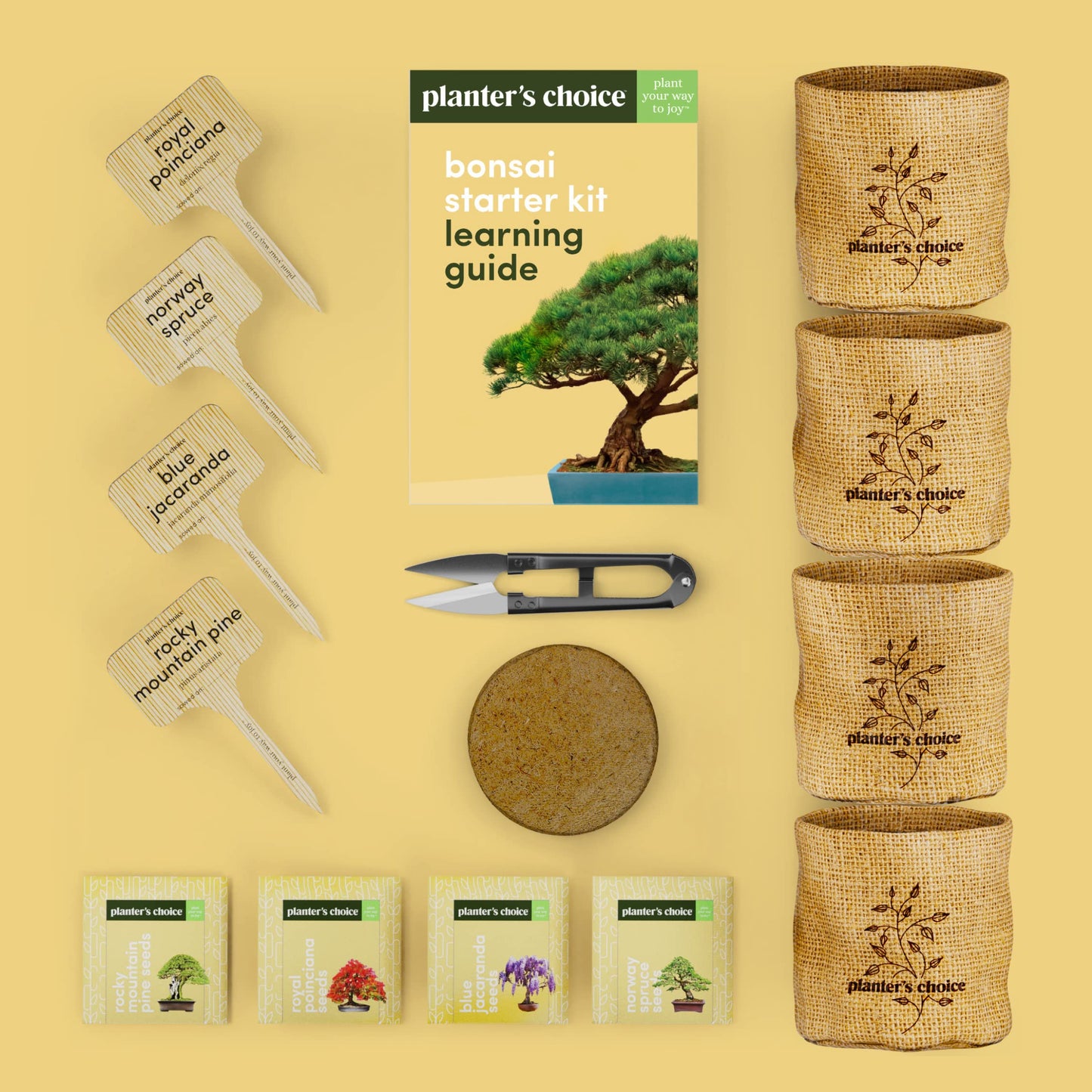 Bonsai Starter Kit - Gardening Easter Gift for Women & Men - Bonsai Tree Growing Garden Crafts Hobby Kits for Adults, Unique DIY Hobbies for Plant Lovers - Unusual Christmas Gifts Ideas