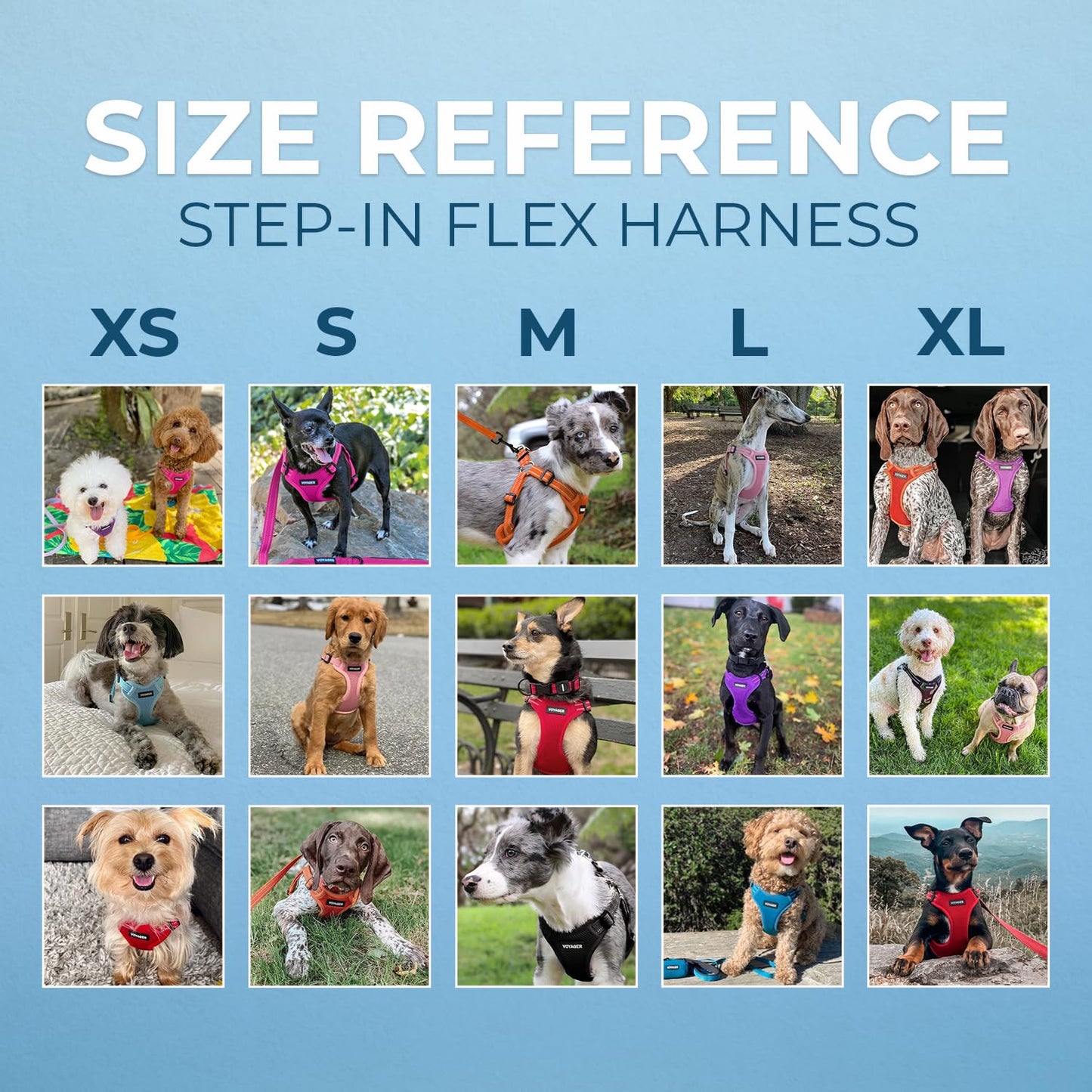 Best Pet Supplies Voyager Adjustable Dog Vest Harness Breathable No Pull Harness for Small, Medium, Large Dogs, Harness for Walking, Jogging, Easy Step-in, Reflective Stripes - Turquoise, S