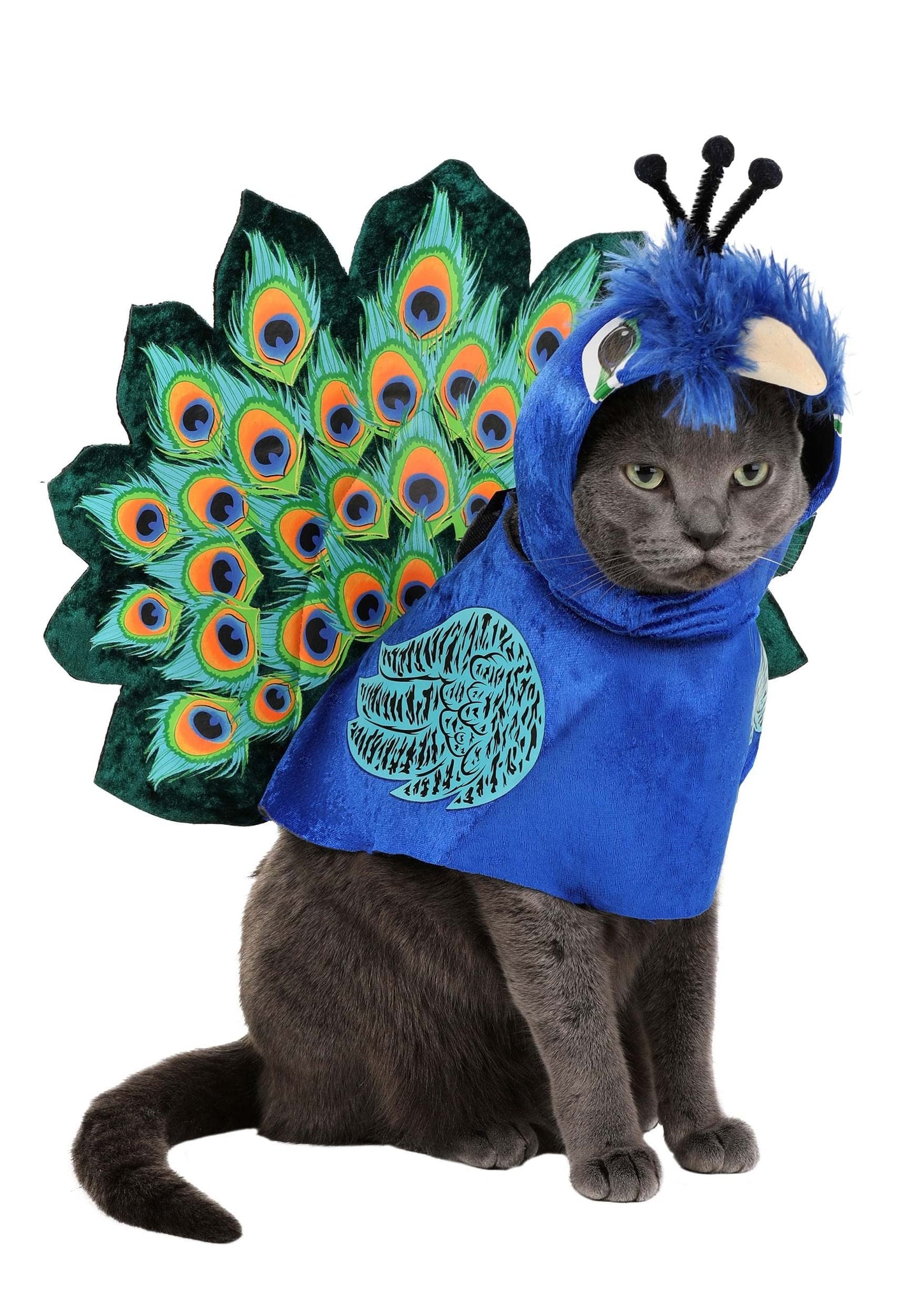 California Costumes Pretty as a Peacock Pet Costume X-Small