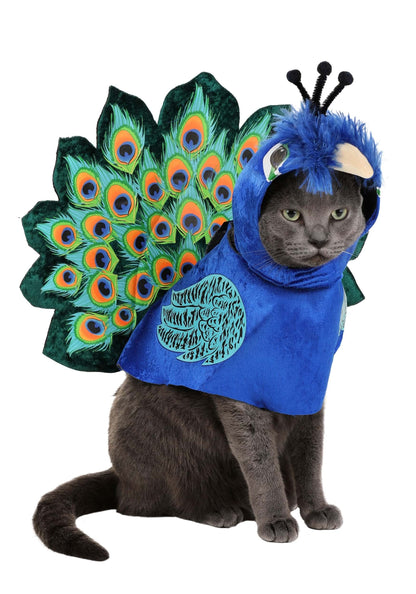 California Costumes Pretty as a Peacock Pet Costume X-Small