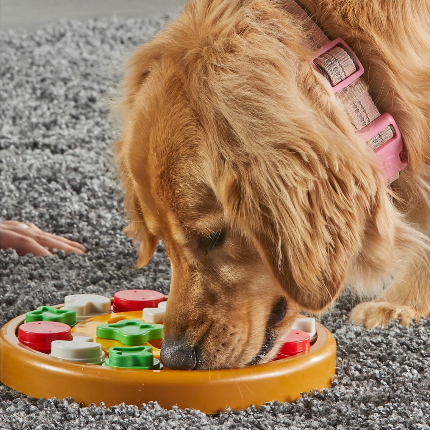 Brightkins Pizza Party! Treat Puzzle - Dog Enrichment Toys for Mental Stimulation, Interactive Gifts for Puppies