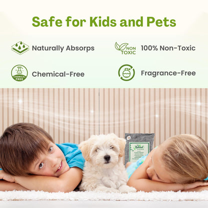 Asani Air Purifier Bags with Bamboo Activated Charcoal (Purifying Pack of 4) | Natural Air Freshener Deodorizer | Moisture Absorber and Odor Eliminators for Home, Car, Refrigerator, Closet (200g Each)