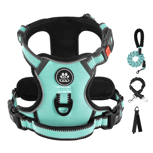 IVY&LANE No Pull Dog Harness with Leash Set, Reflective No Choke Pet Vest,Adjustable Oxford Dog Vest Harness with Easy Control Handle for Medium Dogs (Turquoise,M)