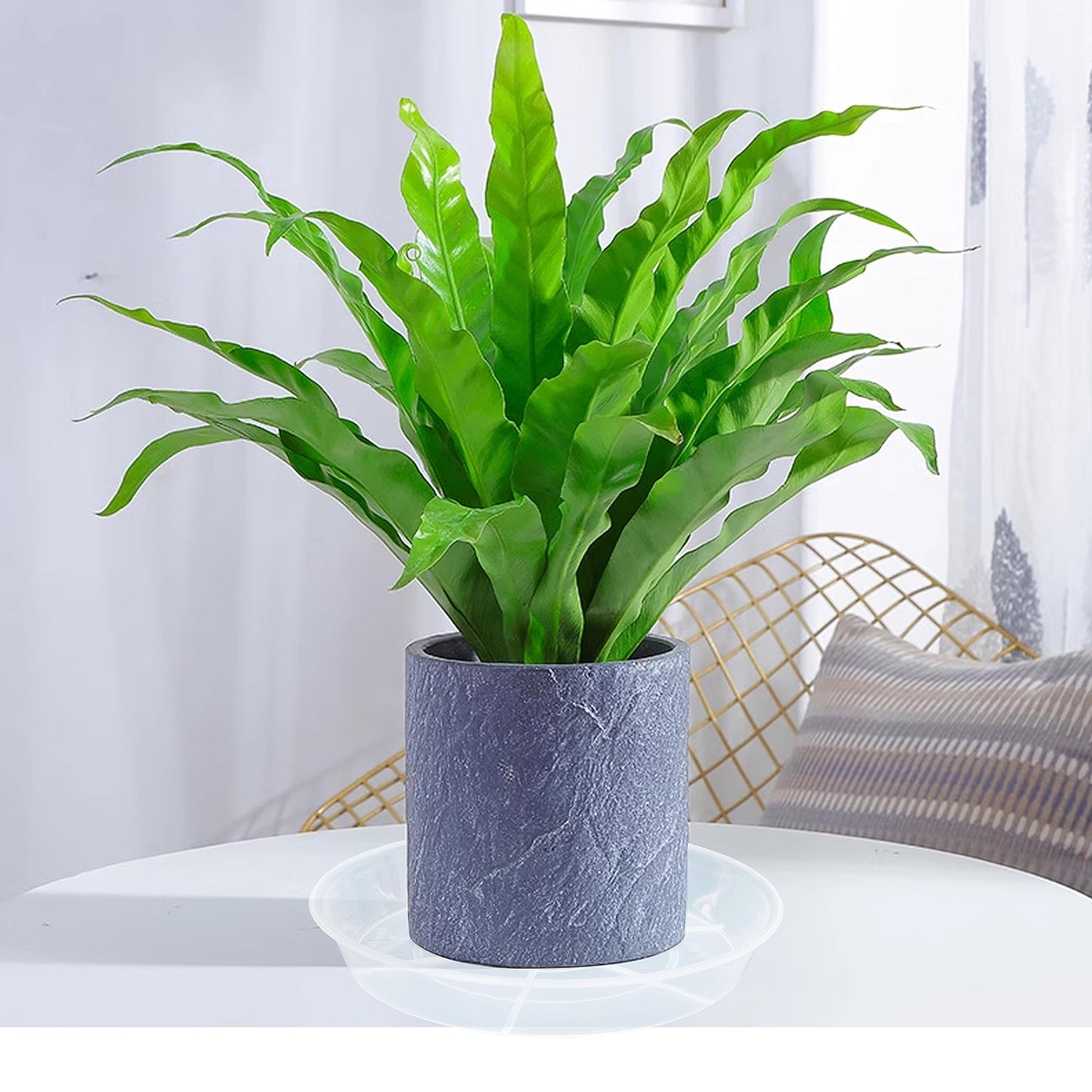 Afrine 6 Pack Plant Saucer Drip Tray, 4 5 6 8 9 10 12 14 16 18 inch, Heavy Sturdy Plastic Planter Flower Pot Saucers for Indoor Outdoor Garden, Plant Water Drip Trays for pots Base (4", Clear)