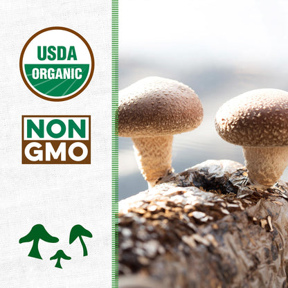 Back to the Roots Organic Shiitake Mushroom Kit; Great Gift; Easy for Beginners, For Indoor Growing (Start Growing Right Away)