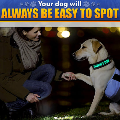 6Pcs Service Dog Patches 6.2x1.9'' - Reflective Do Not Pet Patch & In Training Service Dog Patch Set with Variable Text, Secure Attachment with Hook & Loop Fasteners, Security & Therapy Animal Patches