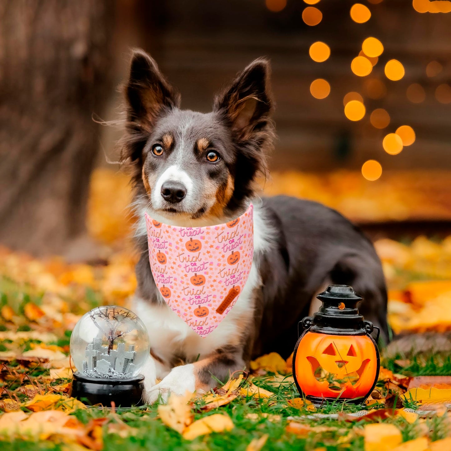 ADOGGYGO Halloween Dog Bandana, Pink Pumpkin Ghost Scarf, Adjustable Fit Female Halloween Bandanas for Medium Large Dogs Pets (Large)