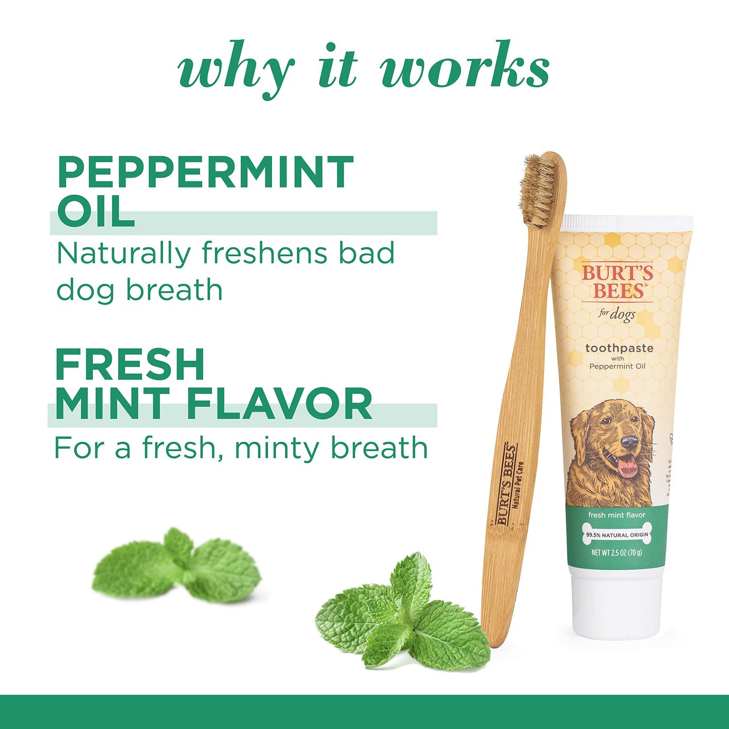 Burt's Bees for Pets Naturally Derived Oral Care Kit - Dog Dental Kit with Toothpaste & Bamboo Toothbrush - Dog Toothbrush and Toothpaste with Honeysuckle & Peppermint Oil, Fresh Mint Flavor (2.5 oz)