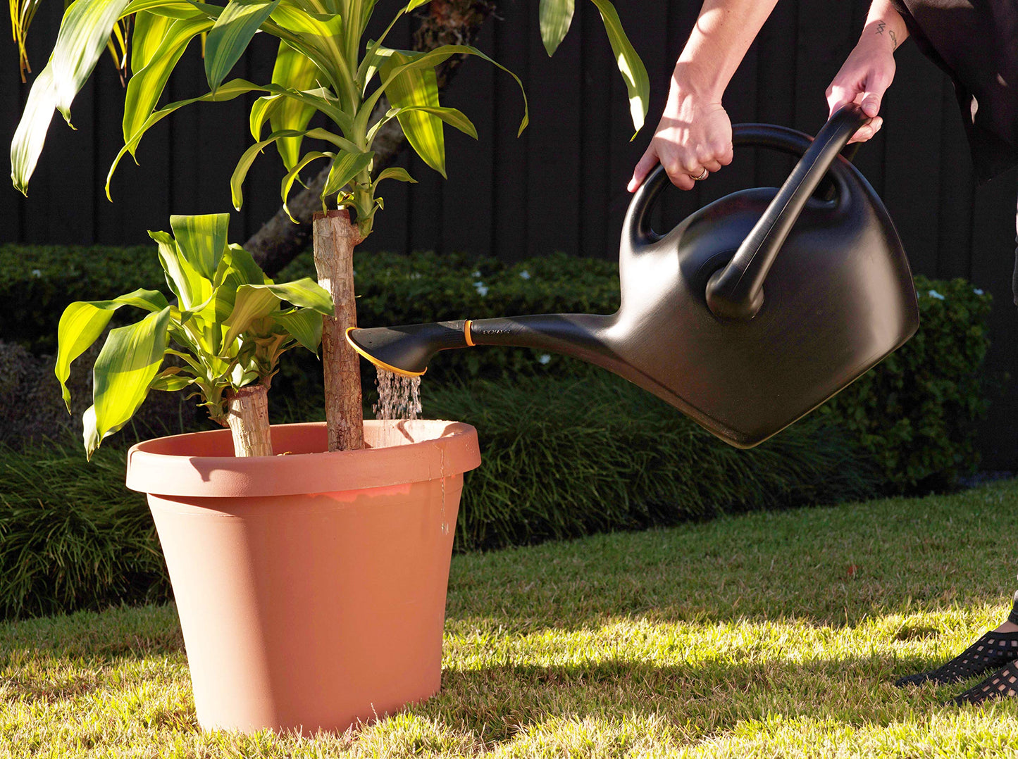 Bloem Easy Pour Watering Can, 2.6 Gallon, Black (20-47287CP)